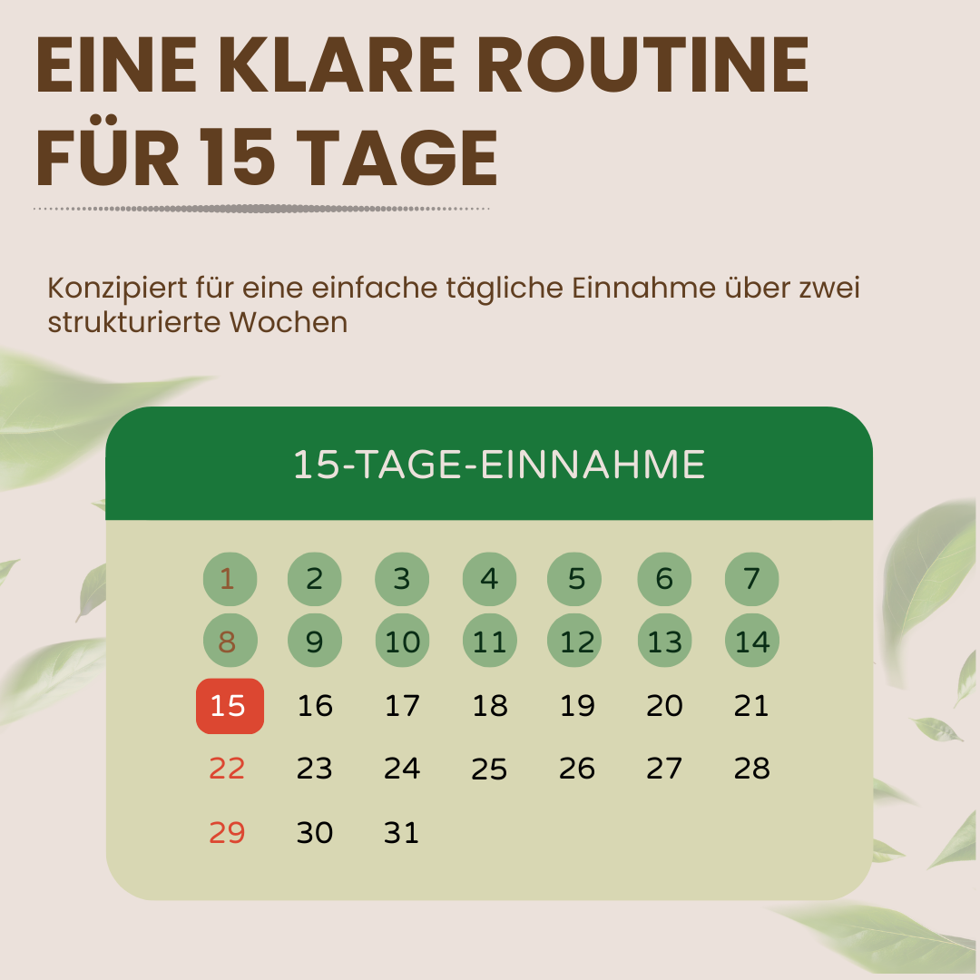 15 Tage Flora Konzept